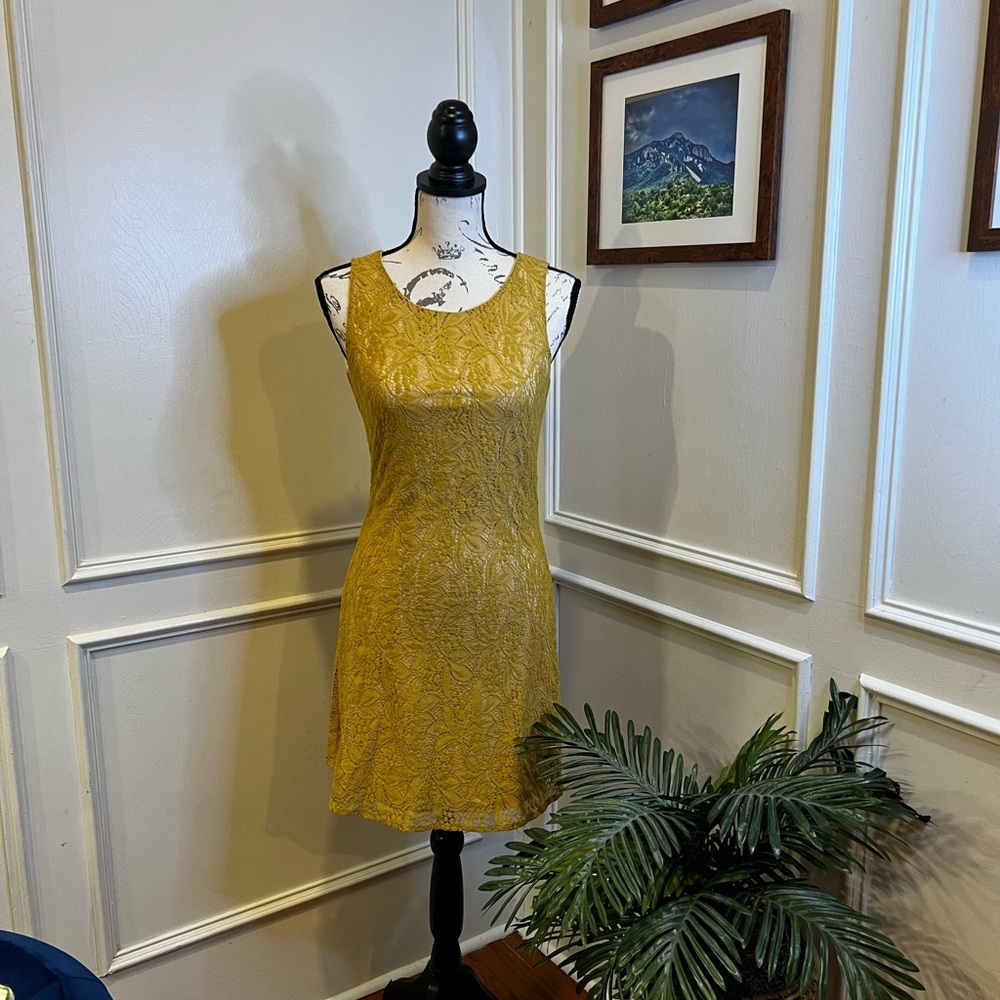 NWT Gorgeous lace dress